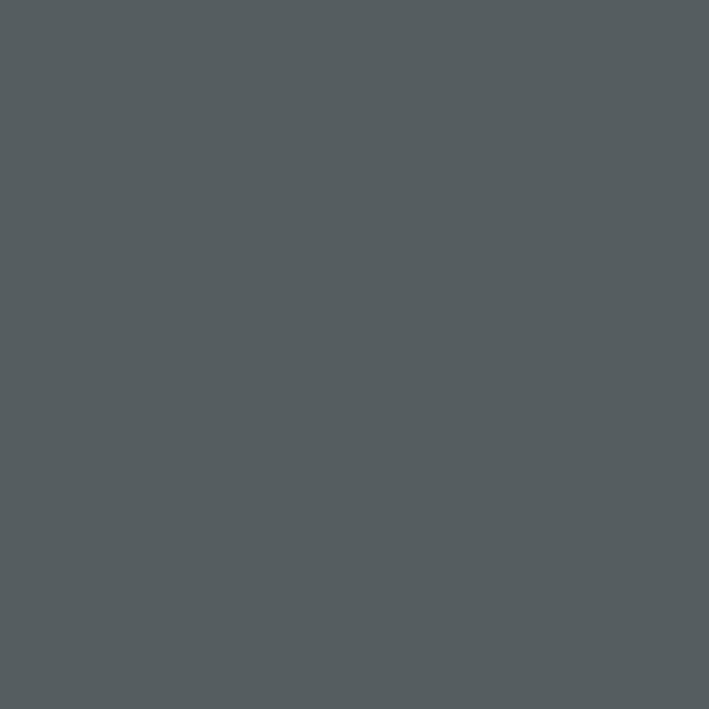 Spray de couleur standard 400ml SPRAY-COLOR Gris Fer RAL7011