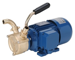 [AL07901101] Pompes à anneau liquide auto-amorçantes (jusqu'à 6 m) 230V-2800Tr/Min-60L/Min 0,45Kw ALGI - 07901100